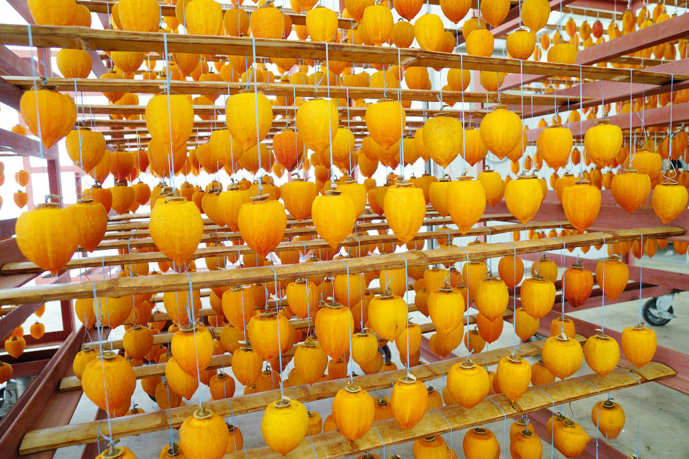 1699350187453829.png
