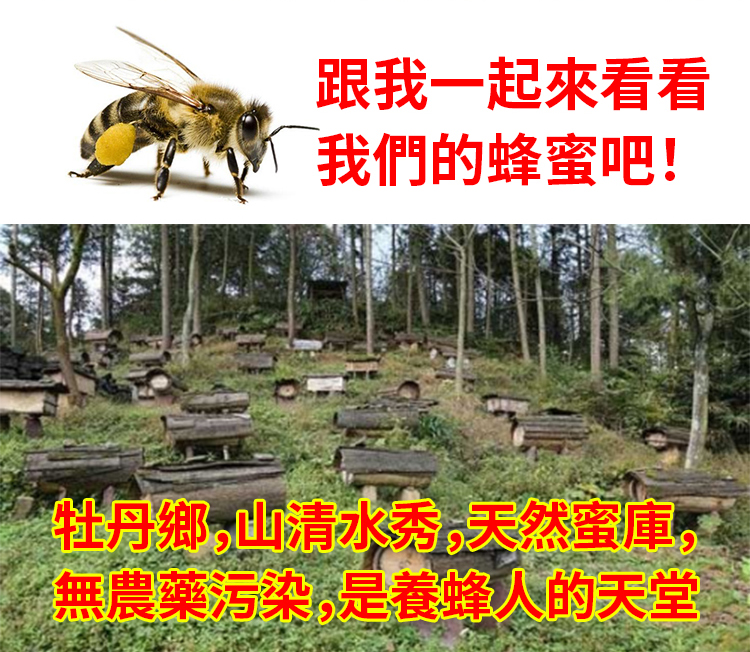 ab8ebdcbc50e56efa90b46046a7f957.png